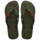 Havaianas Brasil Logo